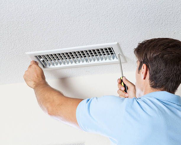 Best Black Mold Removal  in Mabscott, WV