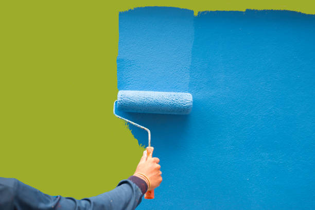 Trusted Mabscott, WV Mold Removal Experts